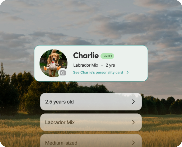 App showing two dogs matched together