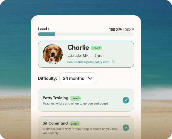 App showing dog training progress and commands